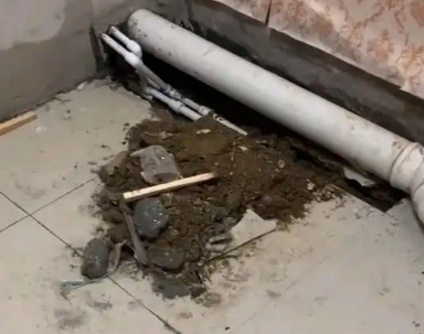 新市卫生间漏水检测哪家好