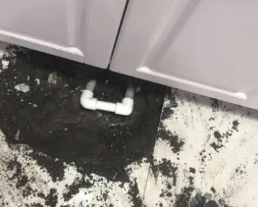 新市查漏水哪家好