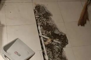 新市卫生间漏水检测电话